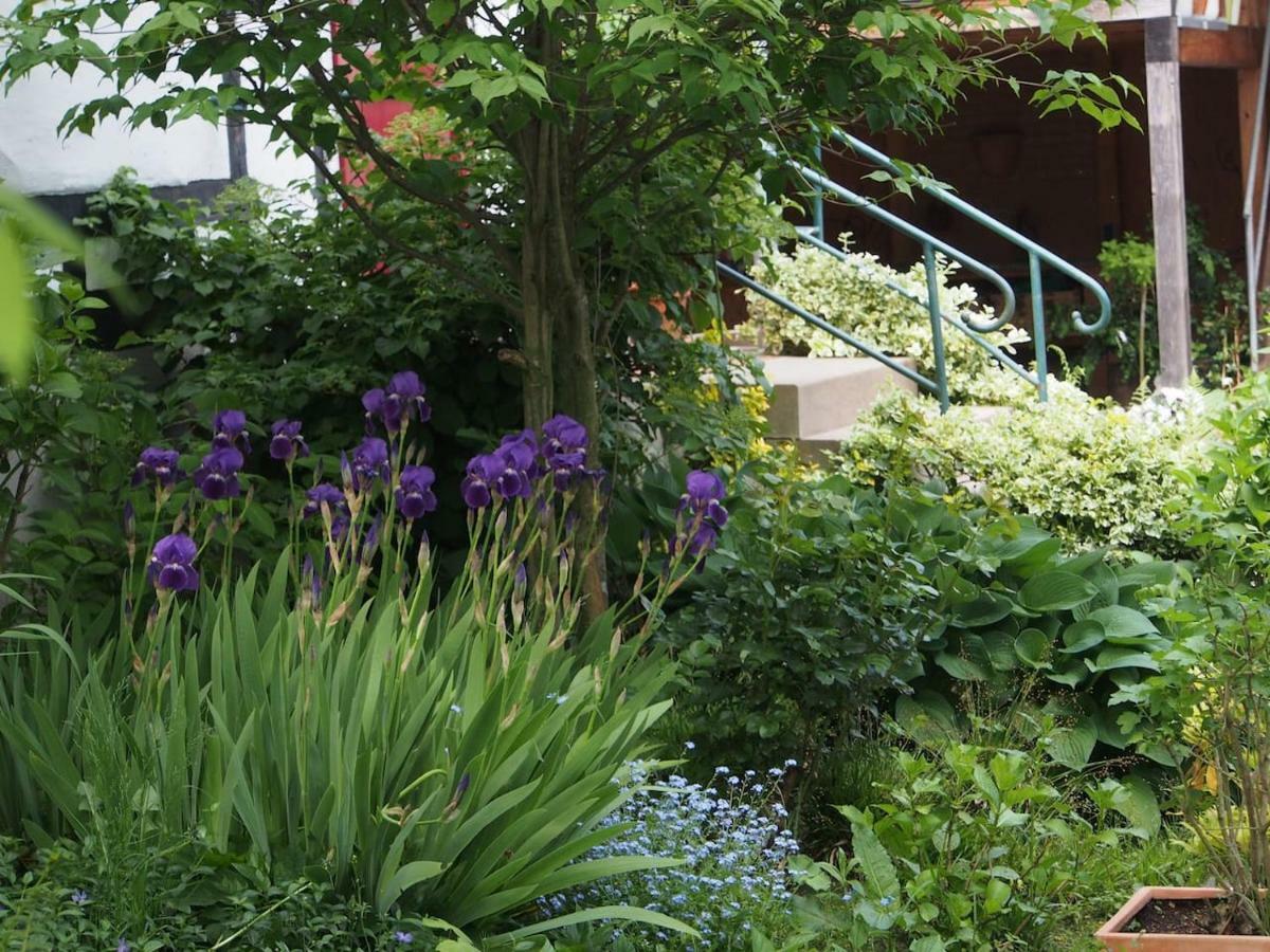 Ferienhaus Im Fachwerkhof 'Haus In Bewegung' Seelscheid Zewnętrze zdjęcie